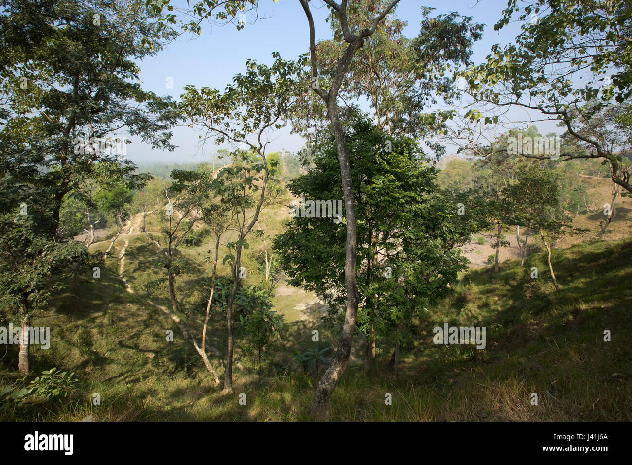 Vue de la colline Moheshkhali Island. Cox's Bazar (Bangladesh). Banque D'Images