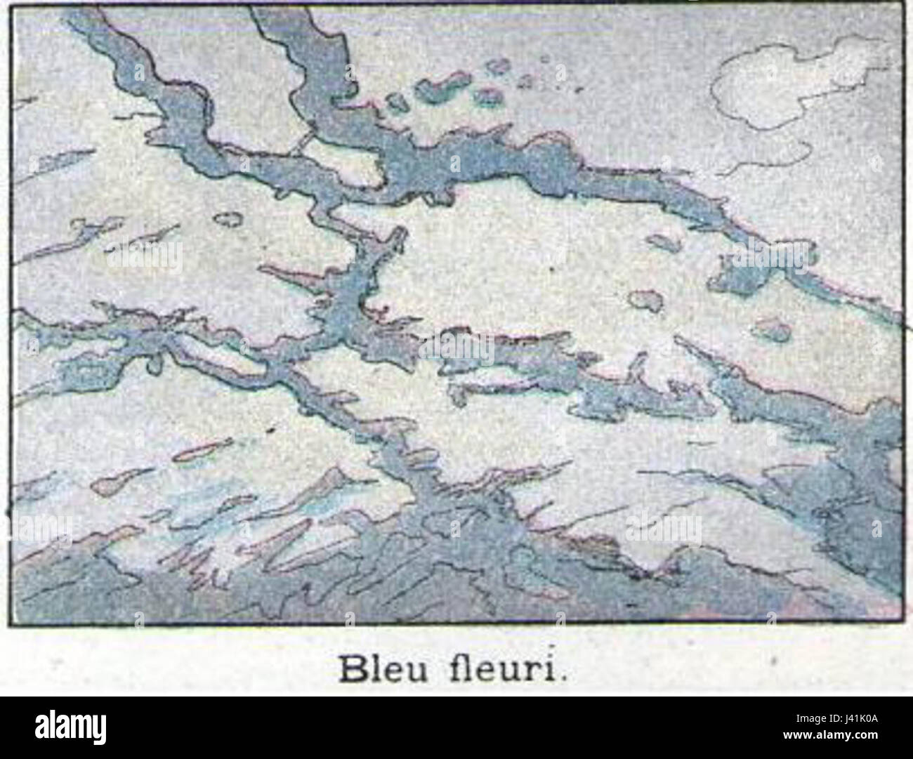 Marbre bleu fleuri Banque D'Images