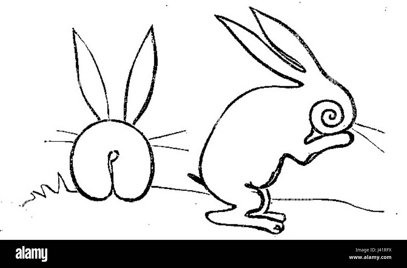 Lustige Naturgeschichte oder Zoologia comica est une œuvre allemande du XVIIIe siècle qui explore avec humour le monde naturel et les animaux à travers des illustrations et des commentaires satiriques. Banque D'Images