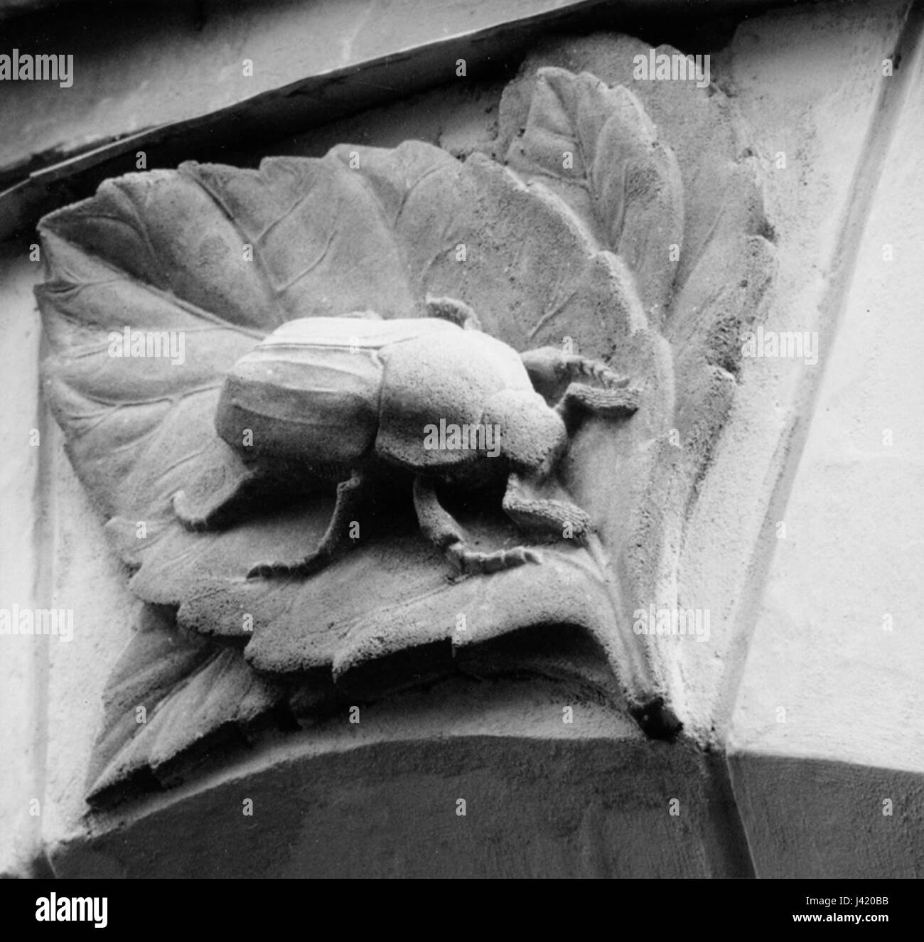 Bug peut comme bas-relief sur l'école de Karl May Banque D'Images