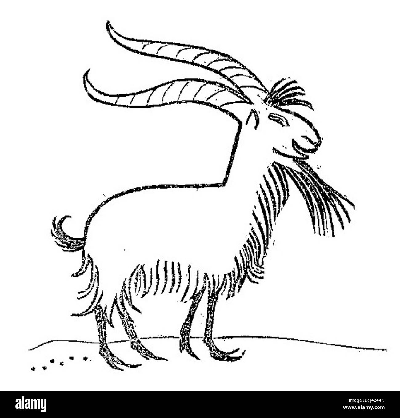 Il s'agit d'un ouvrage intitulé 'Lustige Naturgeschichte oder Zoologia comica', peut-être une exploration humoristique ou satirique des animaux ou de l'histoire naturelle. Le livre contient probablement des illustrations comiques ou des descriptions de la vie animale. Banque D'Images