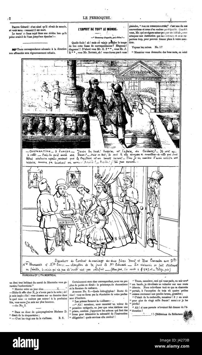 Le Perroquet n02p3 Banque D'Images