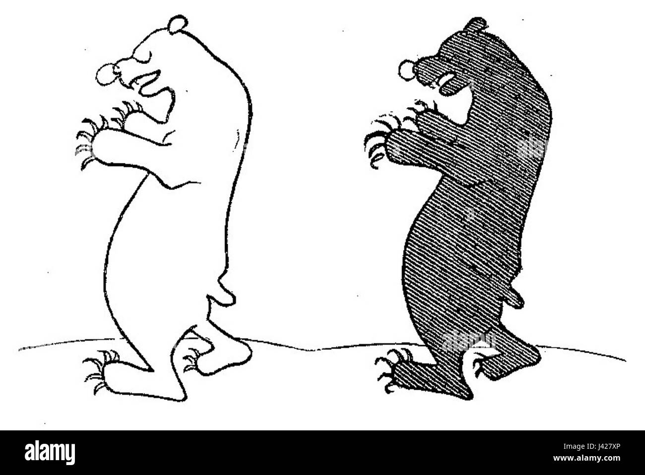 Un travail humoristique d’histoire naturelle ou de zoologie comique, explorant les animaux et leurs particularités avec une approche allégée. Banque D'Images