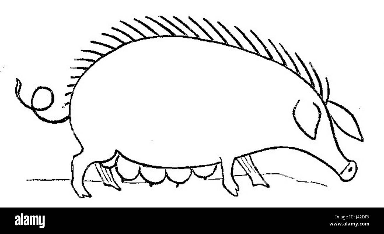 'Lustige Naturgeschichte oder Zoologia comica' est une approche humoristique de la zoologie, mêlant observation scientifique et éléments comiques. Ce travail offre une approche divertissante pour comprendre les animaux, combinant humour et histoire naturelle. Banque D'Images