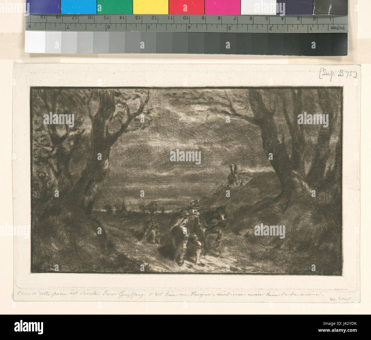 Cette image historique montre un homme conduisant un cheval à travers un paysage avec des arbres des deux côtés, probablement d'une période de la vie rurale ou agricole, capturé dans un style visuel reflétant cette époque. Banque D'Images