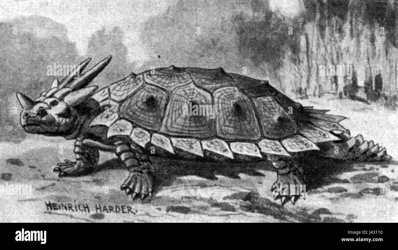 Meiolania était un genre de grandes tortues éteintes qui vivaient pendant les époques du Pléistocène et de l'Holocène. Connus pour leur forme de corps distinctive et leur grande taille, ils parcouraient autrefois l'Australie et les îles environnantes. Banque D'Images