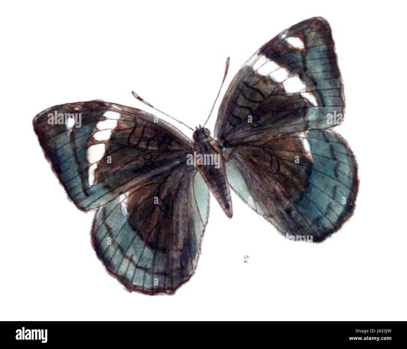 MahaldiaNarayana242 2 Banque D'Images