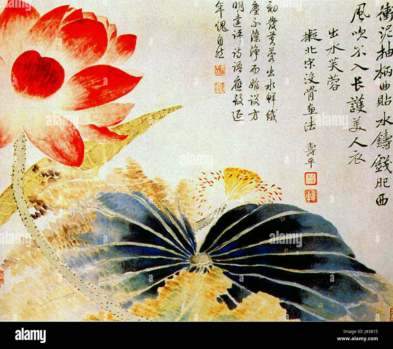 Fleur de Lotus briser la surface par Yun Shouping Banque D'Images