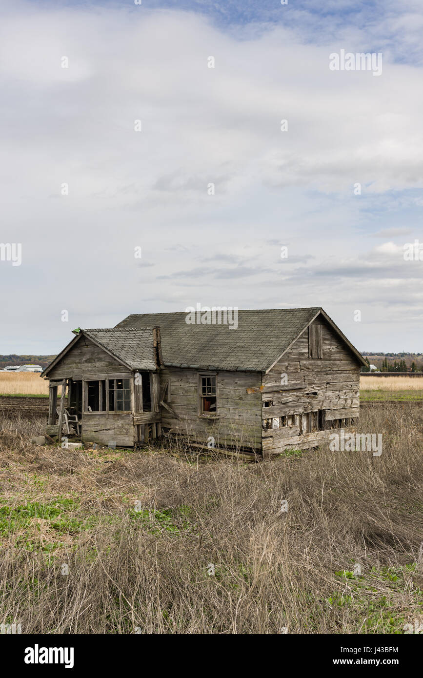 Ancienne Ferme en bois dans un état délabré, Ontario, Canada Banque D'Images