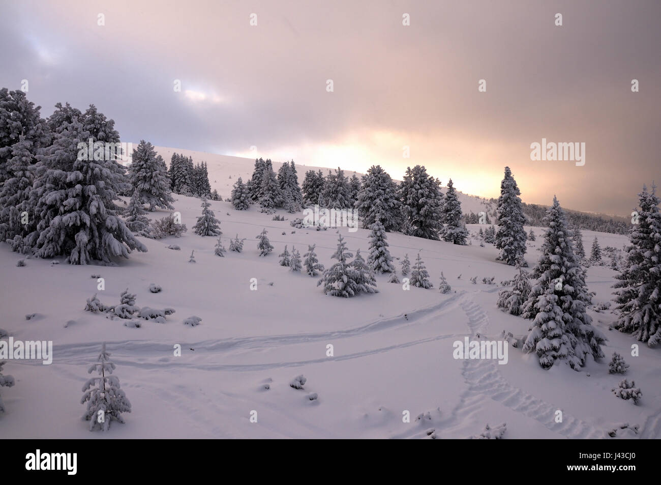 Magic view de Winter Park en couleurs délavées lumineux Banque D'Images