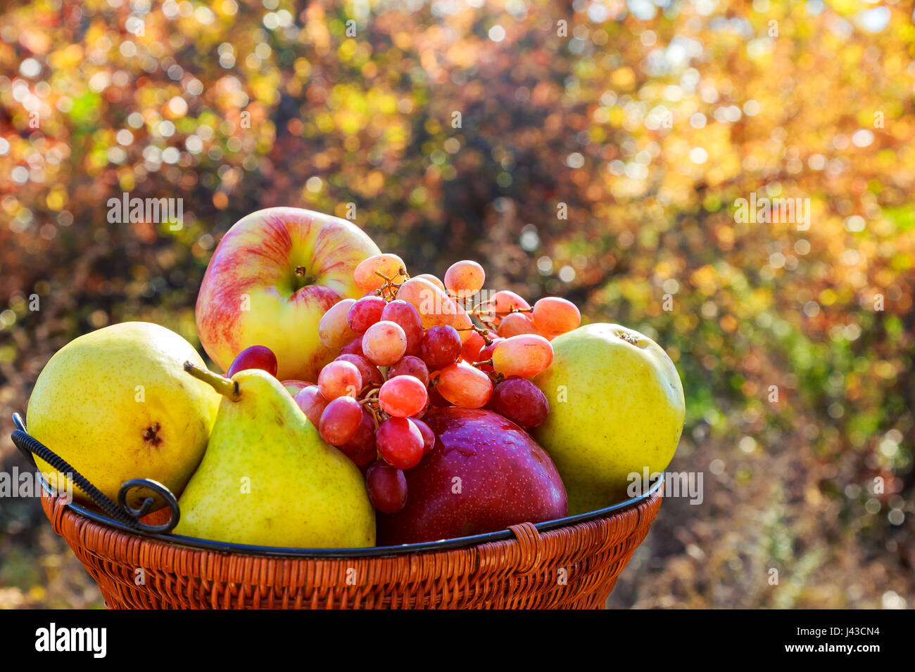 Énorme groupe de légumes frais et de fruits Poire Pomme Raisin miel spomegranate Banque D'Images