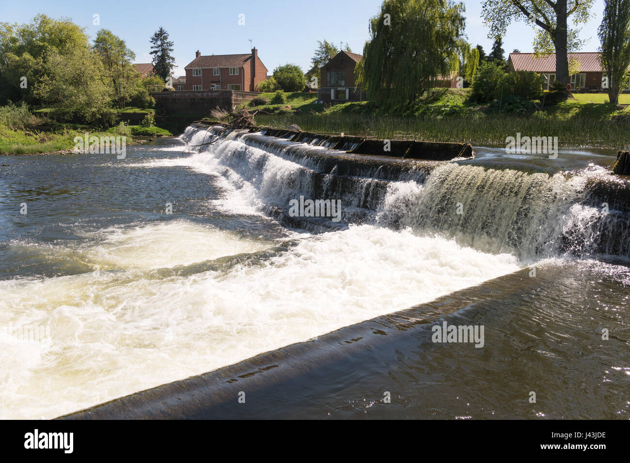 En cascade de l'eau sur le barrage sur la rivière Ure, Boroughbridge, North Yorkshire, England, UK Banque D'Images