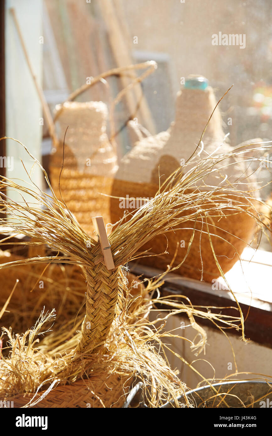 Sparterie halfah herbe utilisée pour l'artisanat comme la vannerie et cordons d'espadrilles Banque D'Images