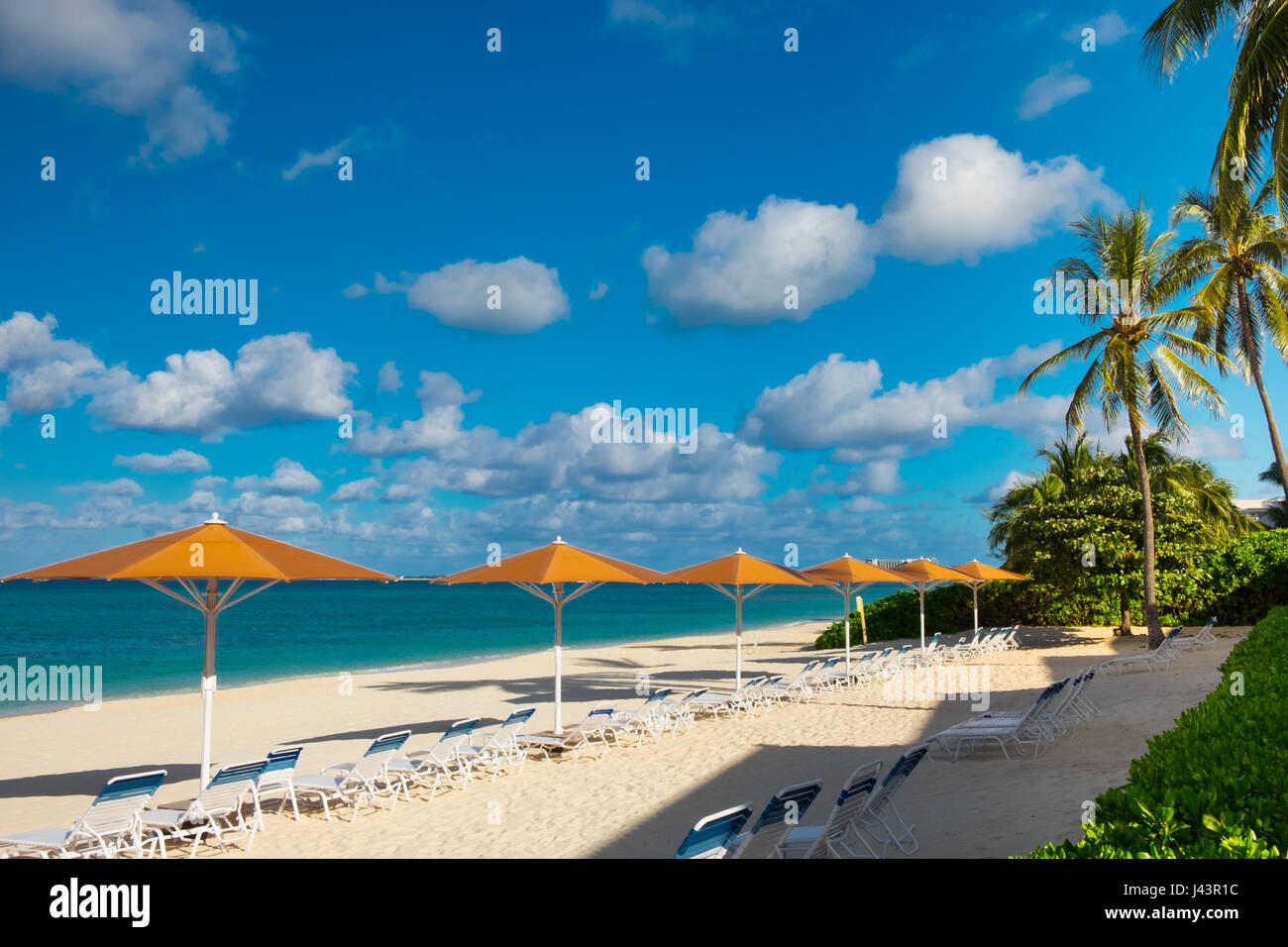 Ligne de parasols et de chaises longues donnant sur la mer des Caraïbes sur Seven Mile Beach, Grand Cayman, Cayman Islands Banque D'Images