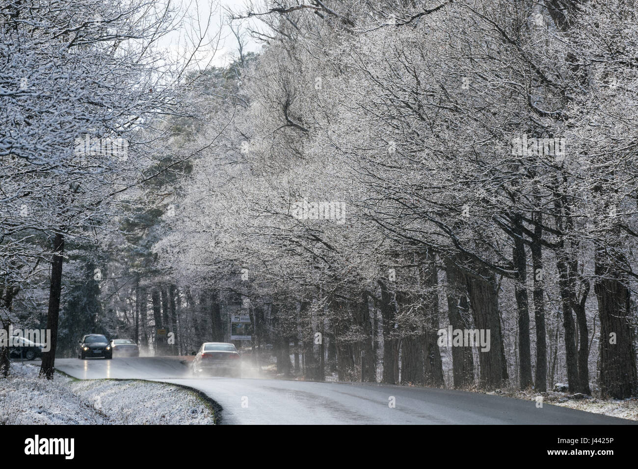 Turku, Finlande. 9 mai, 2017. Neige soudaine a duré pendant deux heures jusqu'à ce que le soleil fait fondre la neige plus tard dans la soirée, à Turku, Finlande Crédit : Jarmo Piironen/Alamy Live News Banque D'Images