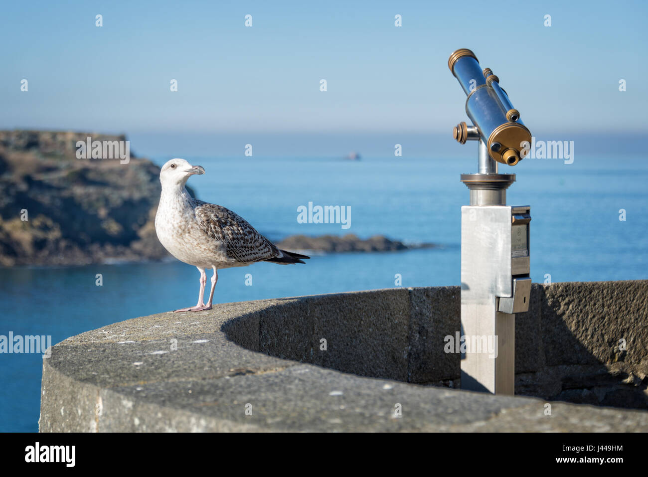 Mouette et d'un télescope, l'arrière-plan de la mer, Saint Malo, Bretagne, France Banque D'Images
