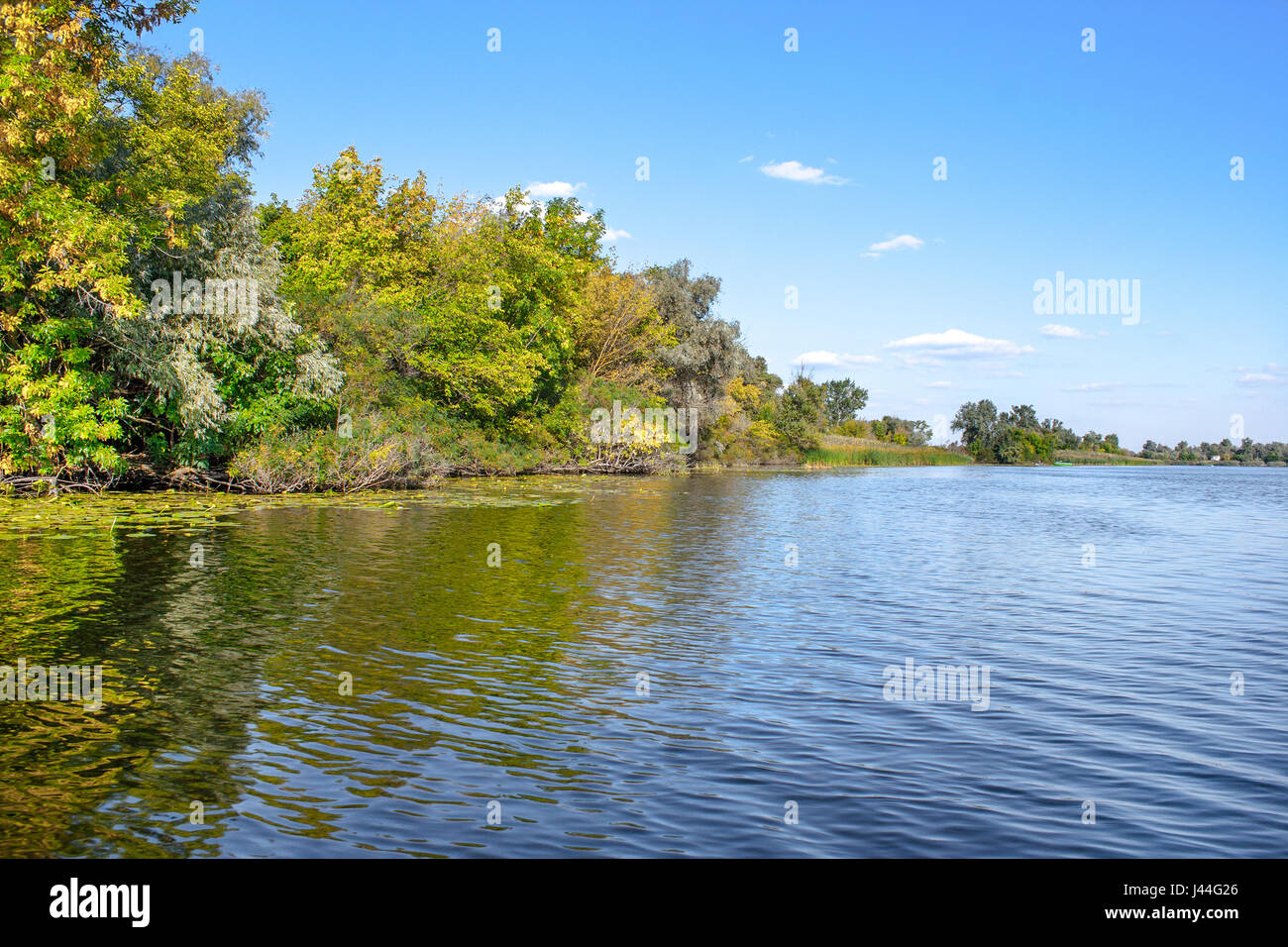 Image paysage d'une grande rivière de la végétation de la rive Banque D'Images