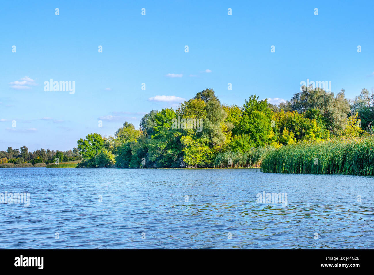 Une image paysage d'un grand fleuve vegetationr Banque D'Images