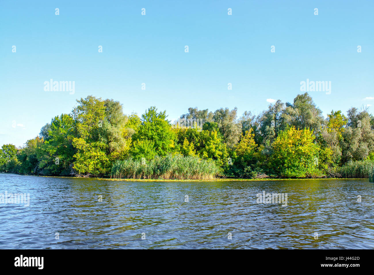 Une image paysage d'une grande rivière de la végétation de la rive Banque D'Images