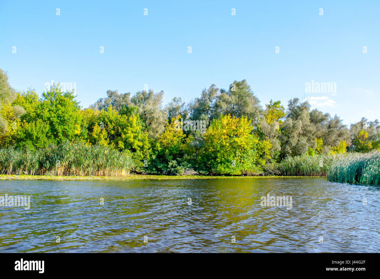 Une image paysage d'une grande rivière de la végétation de la rive Banque D'Images