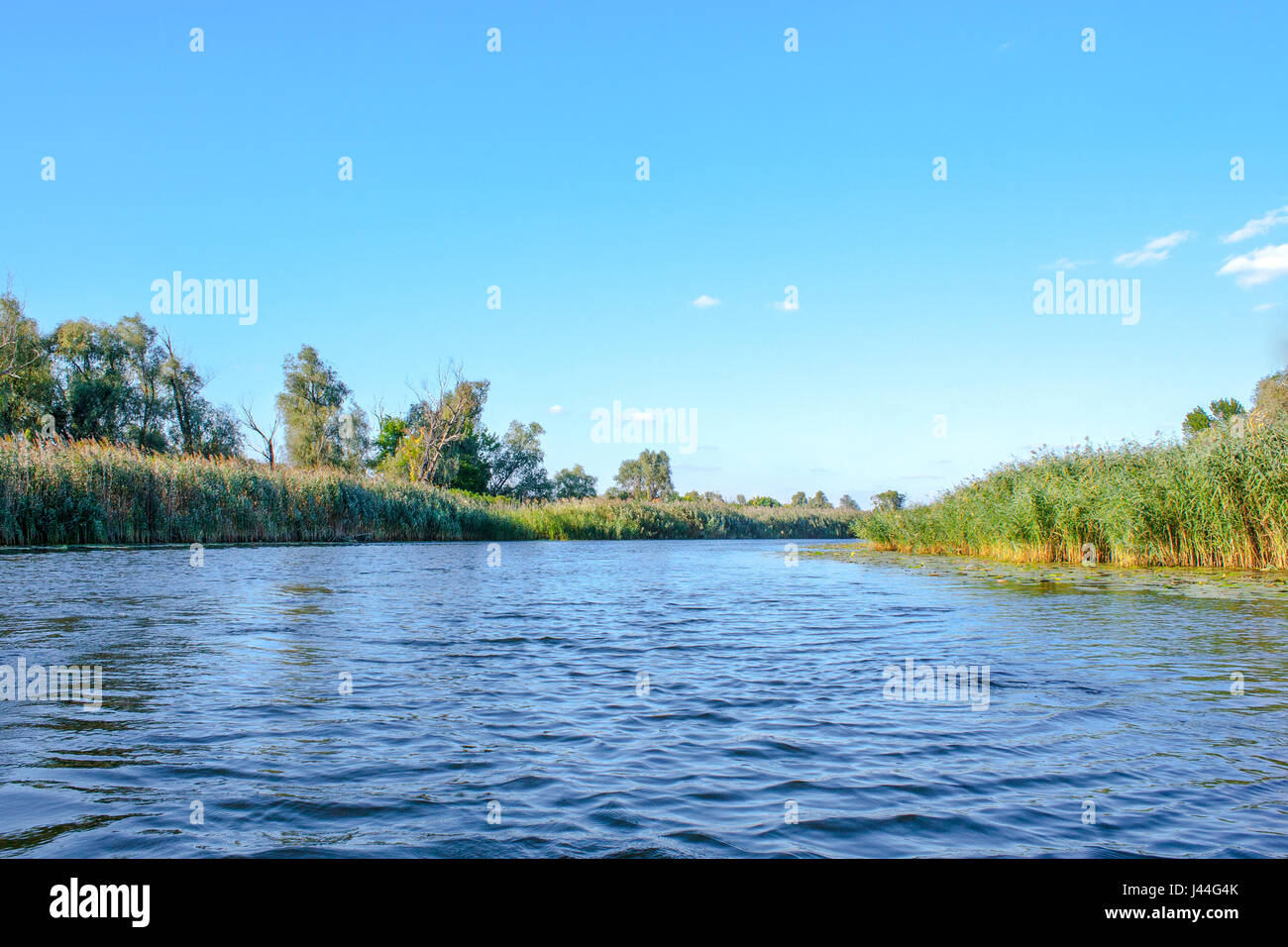 Une image paysage d'une grande rivière de la végétation de la rive Banque D'Images