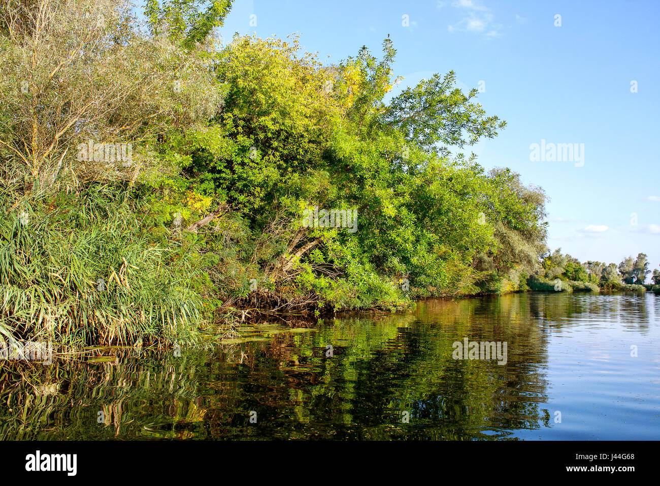 Une image paysage d'une grande rivière de la végétation de la rive Banque D'Images