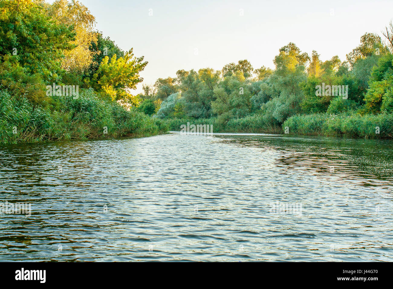 Une image paysage d'une grande rivière de la végétation de la rive Banque D'Images