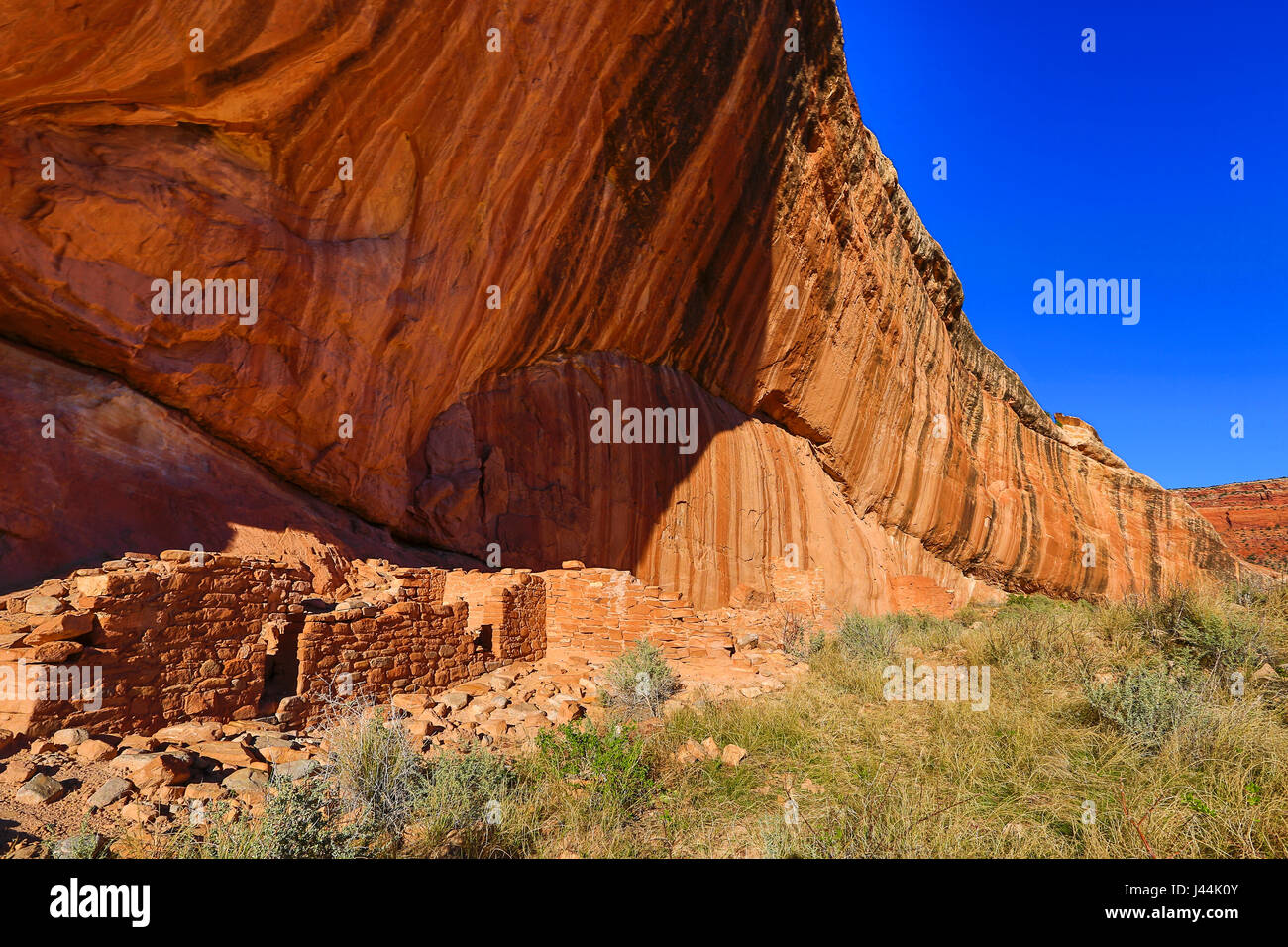Une paroi rocheuse à l'Arch Canyon ruine, une ruine Ancestral Puebloan dans une alcôve au fond de Arch Canyon dans les Oreilles Ours National Monument (Utah). Banque D'Images