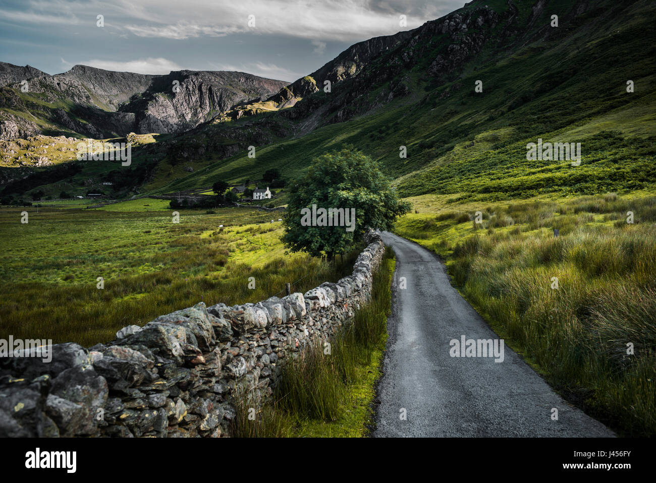 Une lointaine ferme à la fin de piste goudronnée dans une vallée luxuriante dans la région de Snowdonia, Pays de Galles, Royaume-Uni. Derek Hudson / Alamy Stock Photo Banque D'Images