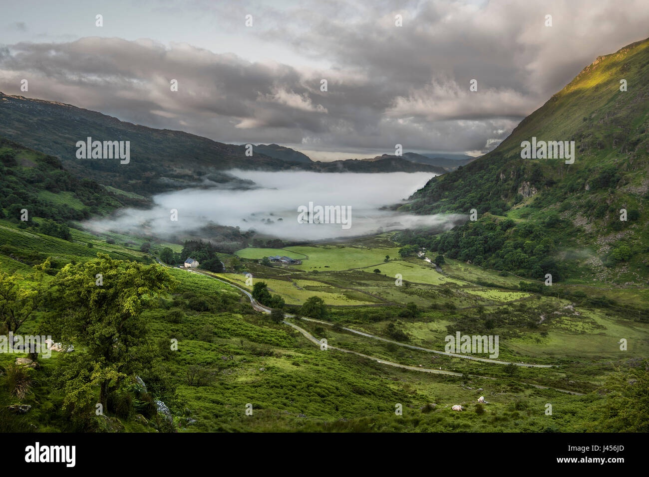 Une ferme solitaire apparaît de sous un nuage de brume à basse altitude, dans une vallée dans le parc national de Snowdonia, Pays de Galles, Royaume-Uni. Banque D'Images