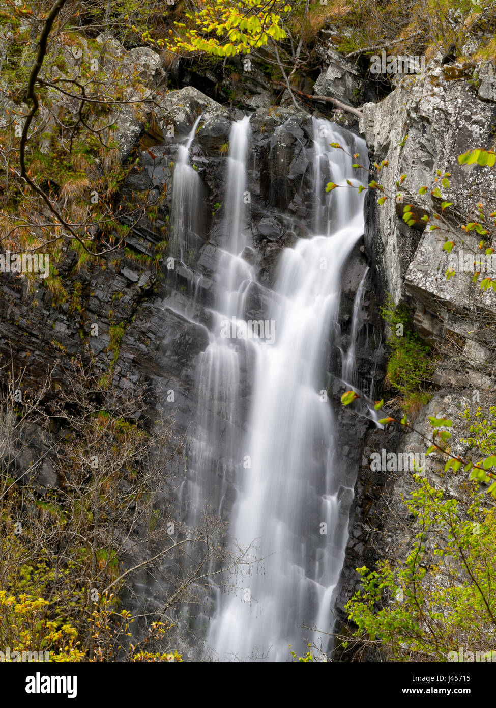 Cascade de Lago Verde, dans le nord de la Toscane, Italie. Juste des arbres se colorer de vert. Effet d'eau douce. Banque D'Images
