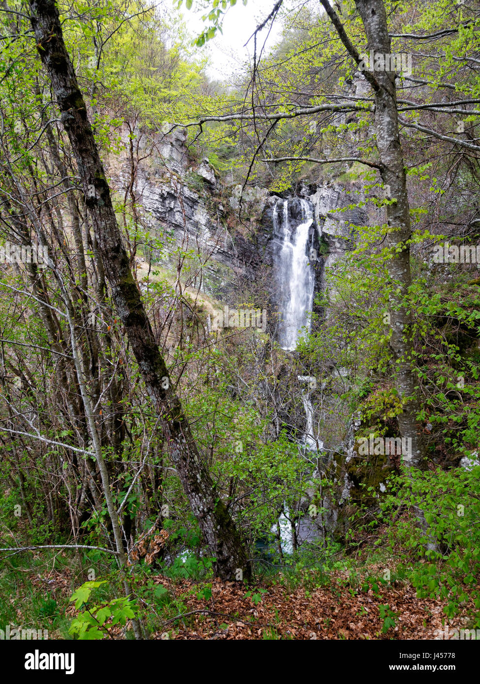 Lago Verde cascade dans la zone de la Lunigiana Toscane, Italie du nord. Juste des arbres se colorer de vert. Banque D'Images