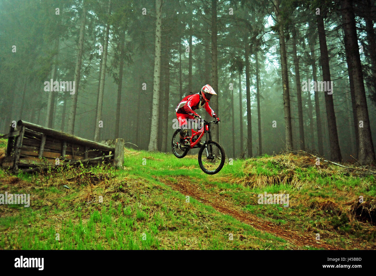 Bikepark Silbersattel, Thüringer Wald, Deutschland Banque D'Images