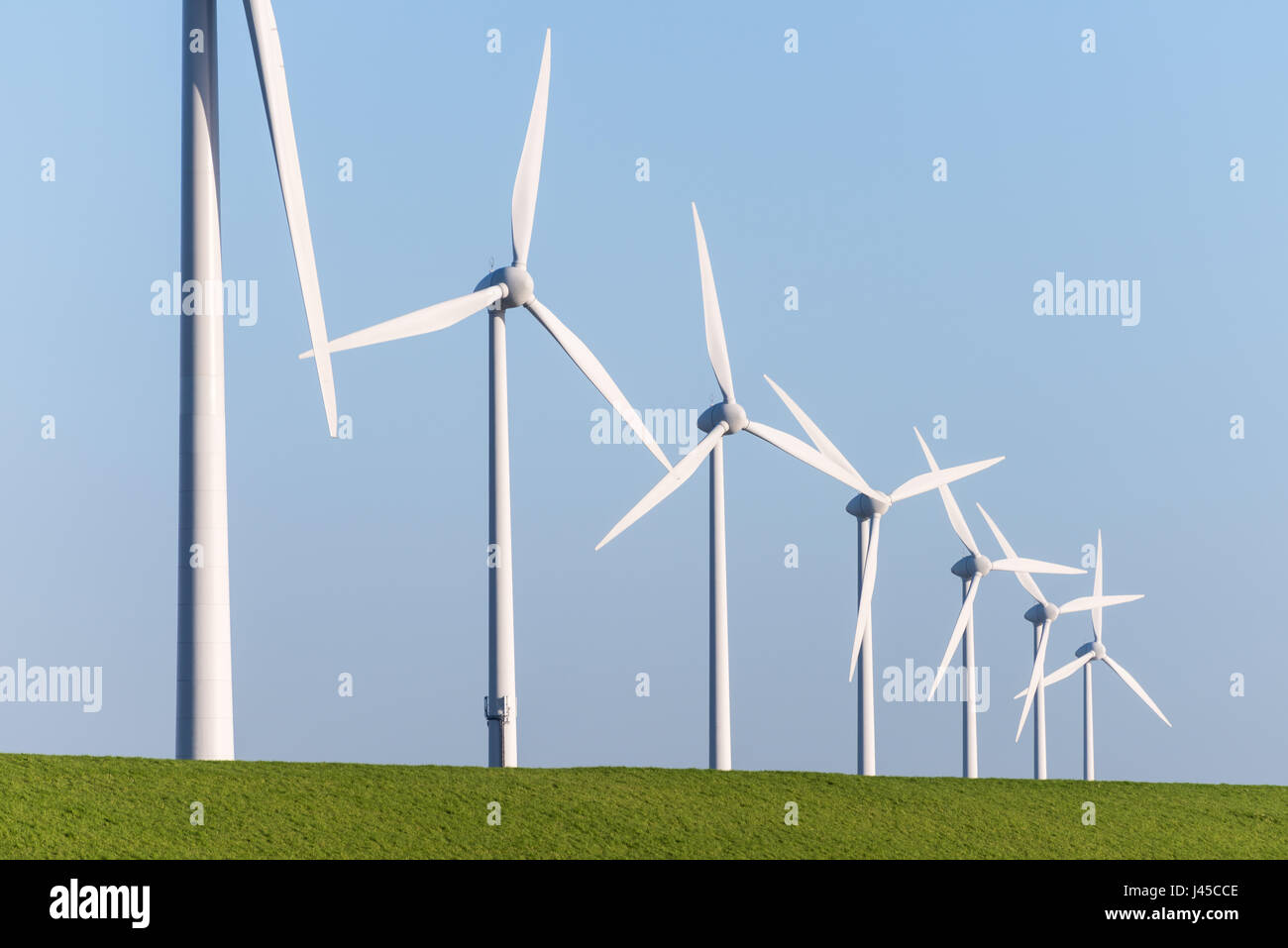 Les éoliennes sont debout le long d'une digue d'herbe avec un ciel bleu en arrière-plan. Banque D'Images