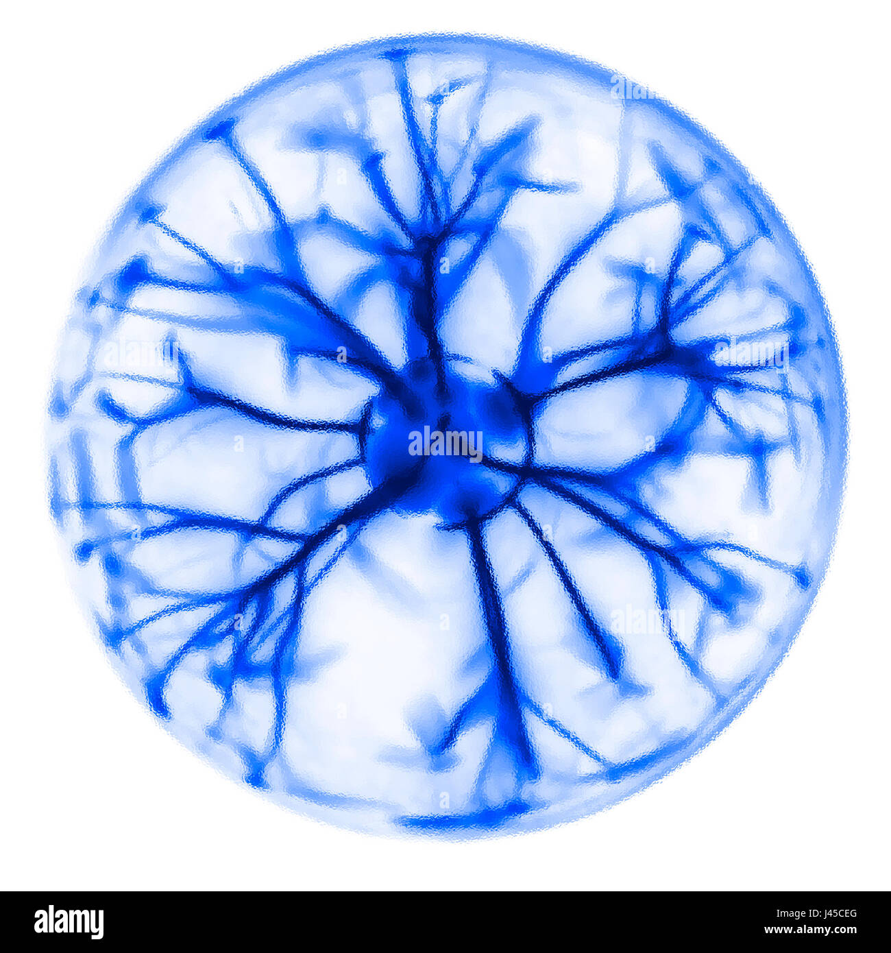 Orb transparent bleu Banque D'Images