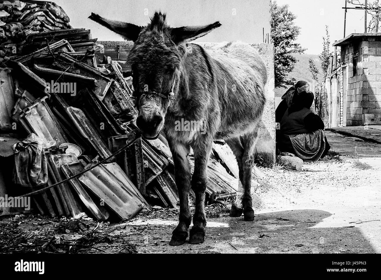 Lin, de l'Albanie. 28 avril, 2017. La vie quotidienne dans le village de lin sur la rive du lac Ohrid. L'Albanie a une population d'un peu plus de 3 millions de dollars, seulement un tiers de tous les Albanais dans le monde en raison d'effets négatifs de la migration. Près de 60 % de la population sont musulmans, près de 20 % de chômeurs et 15 % en dessous du seuil de pauvreté. La transition du communisme qui a commencé dans les années 1990 s'est avérée difficile en raison d'un chômage élevé, la corruption généralisée, mauvais état de l'infrastructure et de puissants réseaux criminels organisés. Le pays est encore l'un des plus pauvres d'Europe. Banque D'Images