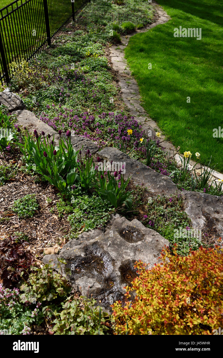 Jardin jardin à côté de la frontière à flanc de pelouse verte et de pierres et roches clôture avec les nouvelles fleurs de printemps Banque D'Images