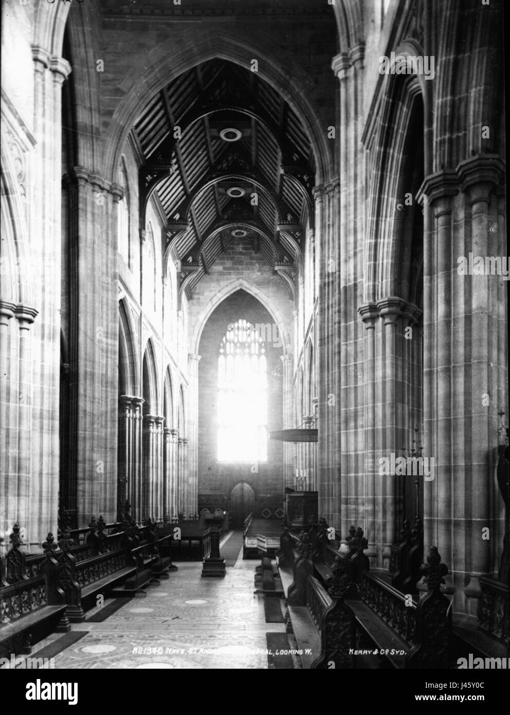 Nef, la cathédrale Saint André, Sydney (à l'ouest) à partir de la collection du Musée Powerhouse Banque D'Images
