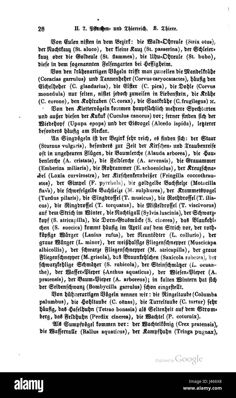 Cette image est associée à OABesigheim, potentiellement un monument architectural ou historique dans la région de Besigheim, en Allemagne, représentant la signification historique ou culturelle de areaâ€™. Banque D'Images