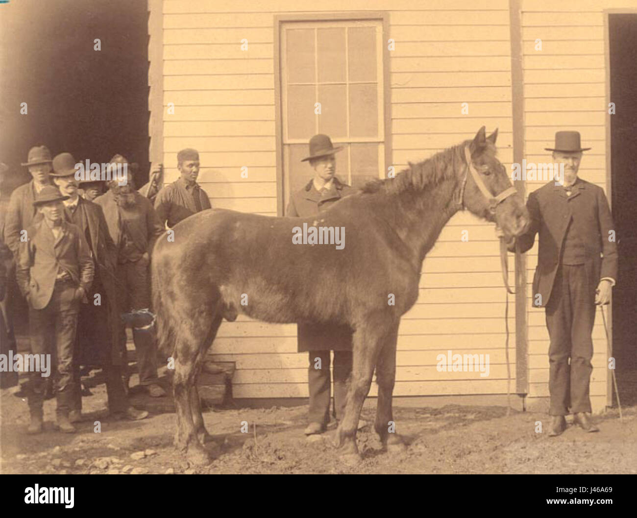 Ce titre fait probablement référence à une vieille photographie d'un sujet historique ou d'un événement impliquant un cheval nommé Old Sorrel. Old Sorrel était un célèbre cheval de guerre confédéré pendant la guerre de Sécession. Banque D'Images
