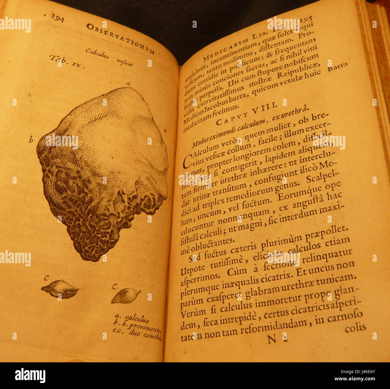 Nicolaes Tulp 1641 capvt 3de viii cathalina Banque D'Images