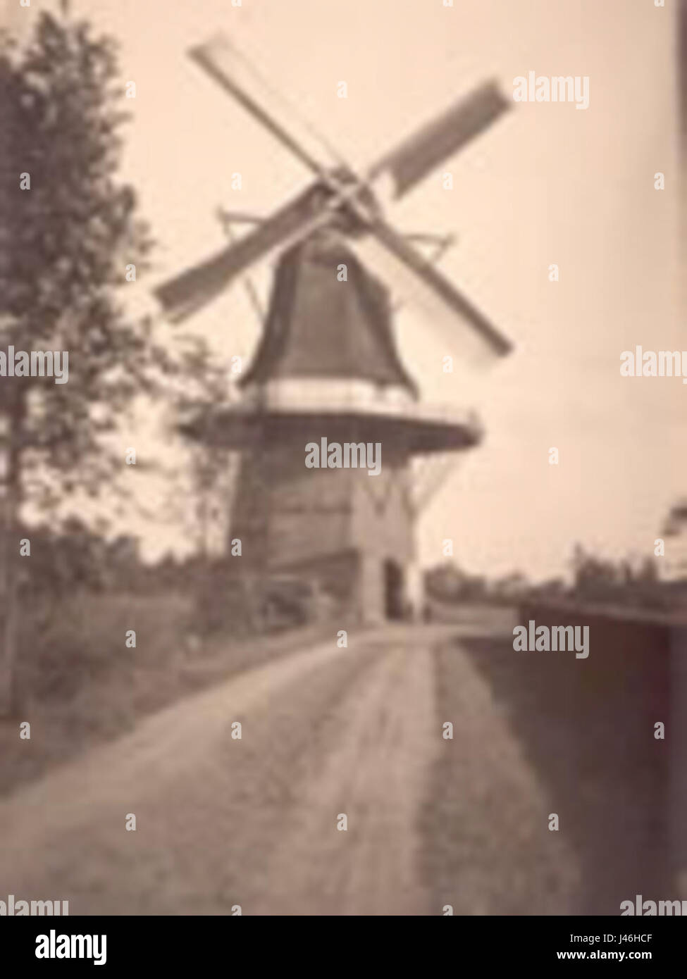Photographie de Molen Massier vers 1905, un moulin à vent historique aux pays-Bas, reflétant le patrimoine traditionnel du pays. Banque D'Images