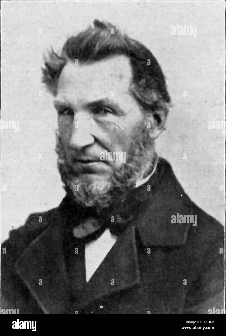 Les visons sont de petits mammifères carnivores appartenant à la famille des Mustelidae. Ils sont connus pour leur fourrure luxueuse et sont originaires d'Amérique du Nord et de certaines parties de l'Europe. Les visons sont également associés à l'élevage à fourrure et à leur rôle dans l'écosystème. Banque D'Images