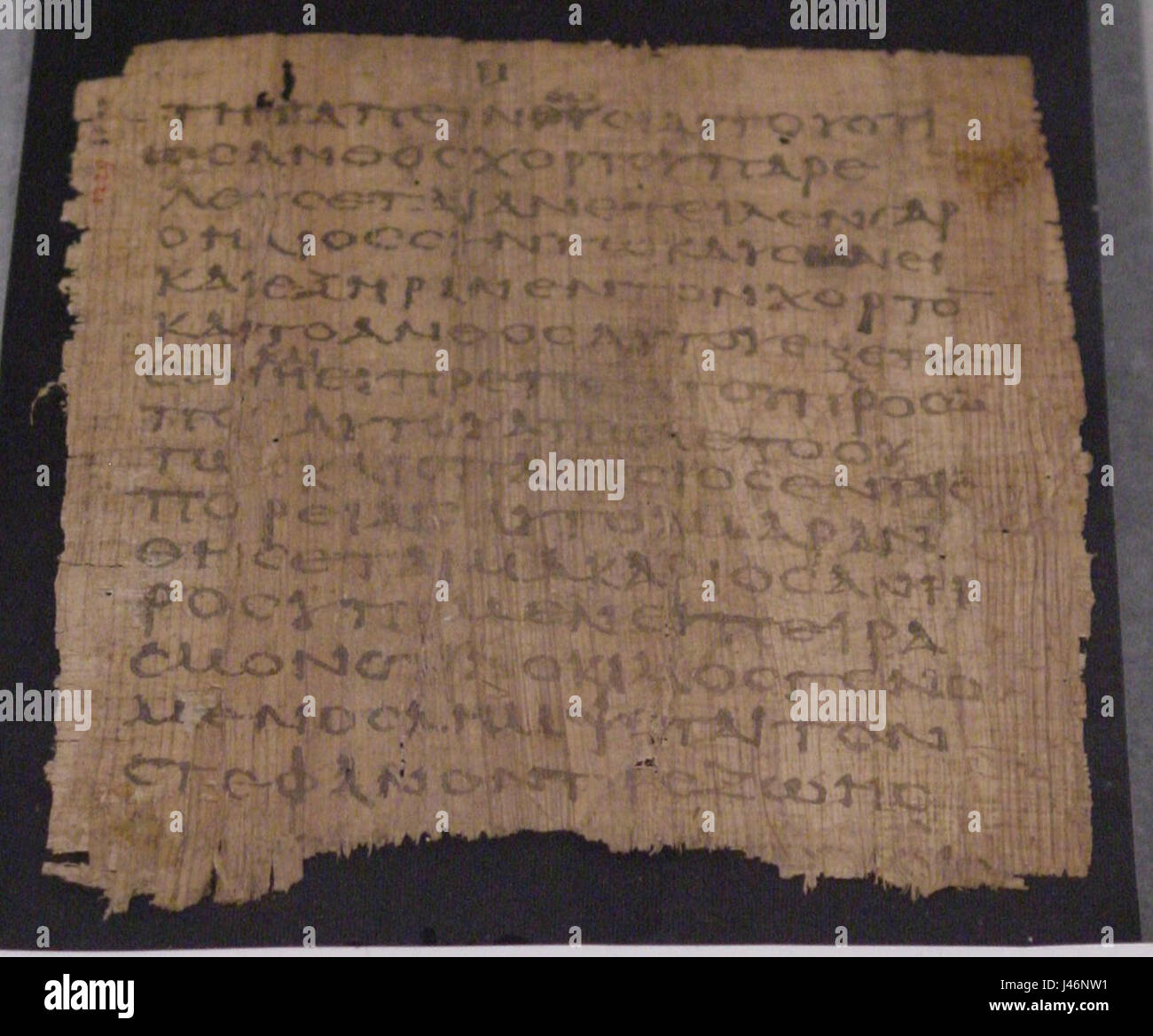 23 1.10 12 Papyrus Bourrage POxy1229 III Banque D'Images