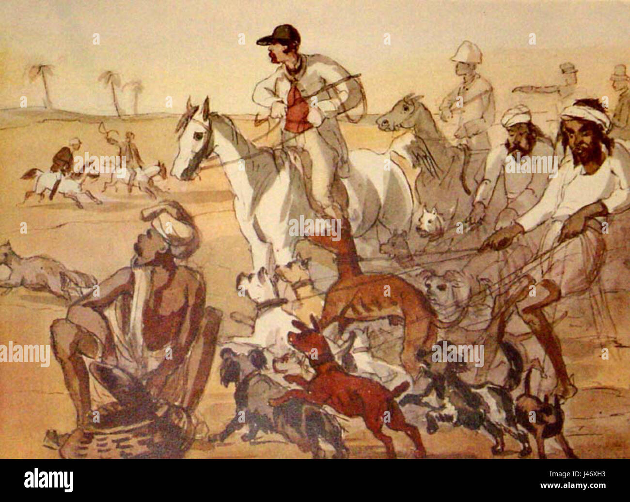 Ourpackofhounds Banque D'Images Ourpackofhounds Banque D'Images