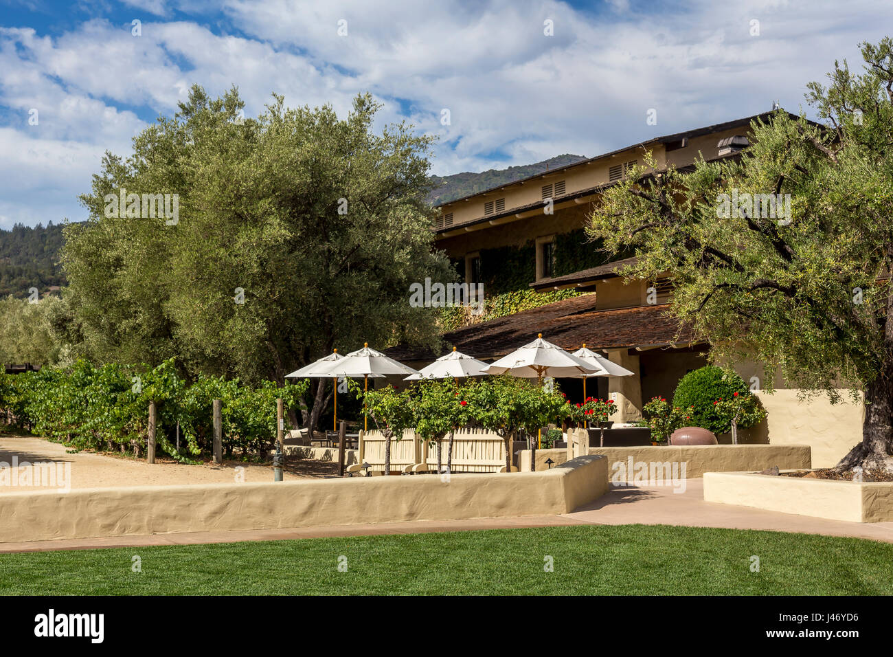 Dégustation en plein air, bâtiment winery patio, Robert Mondavi Winery, Oakville, Napa Valley, Comté de Napa, Californie Banque D'Images