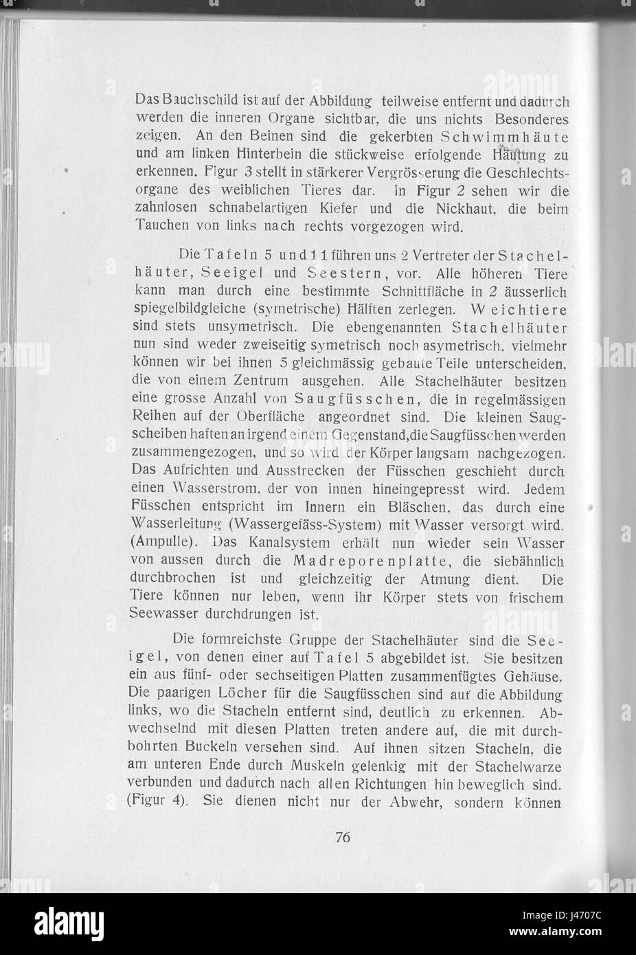 Cette entrée fait probablement référence à une référence archivistique ou historique spécifique faite par OF Joest en 1911, offrant un aperçu de l'exploration ou de l'étude du début du XXe siècle. Banque D'Images