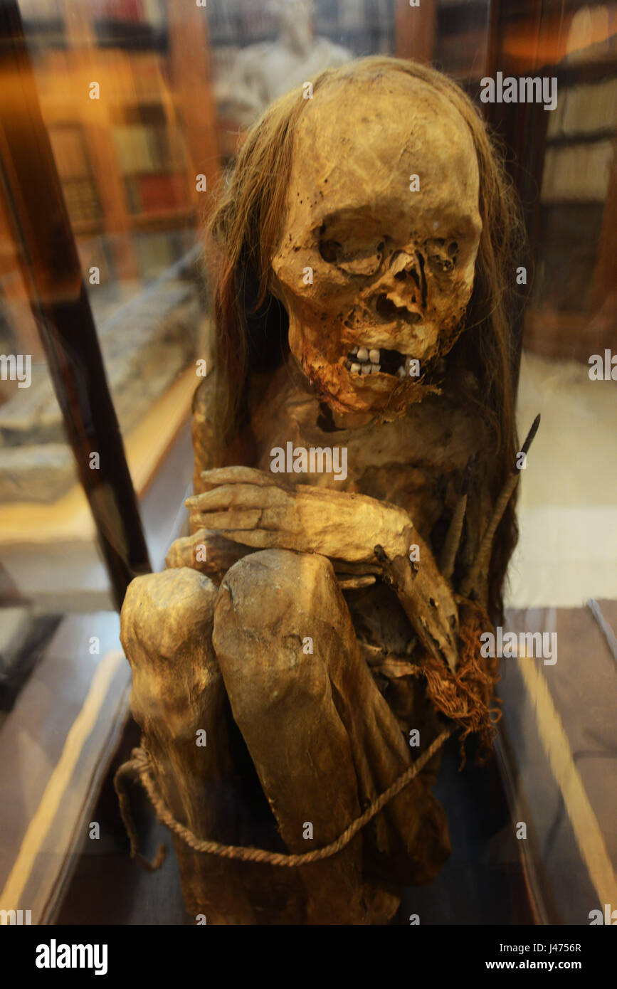 Momies péruviennes affiché dans le musée archéologique du Carmo Situé à l'ancien couvent du Carmo. Banque D'Images