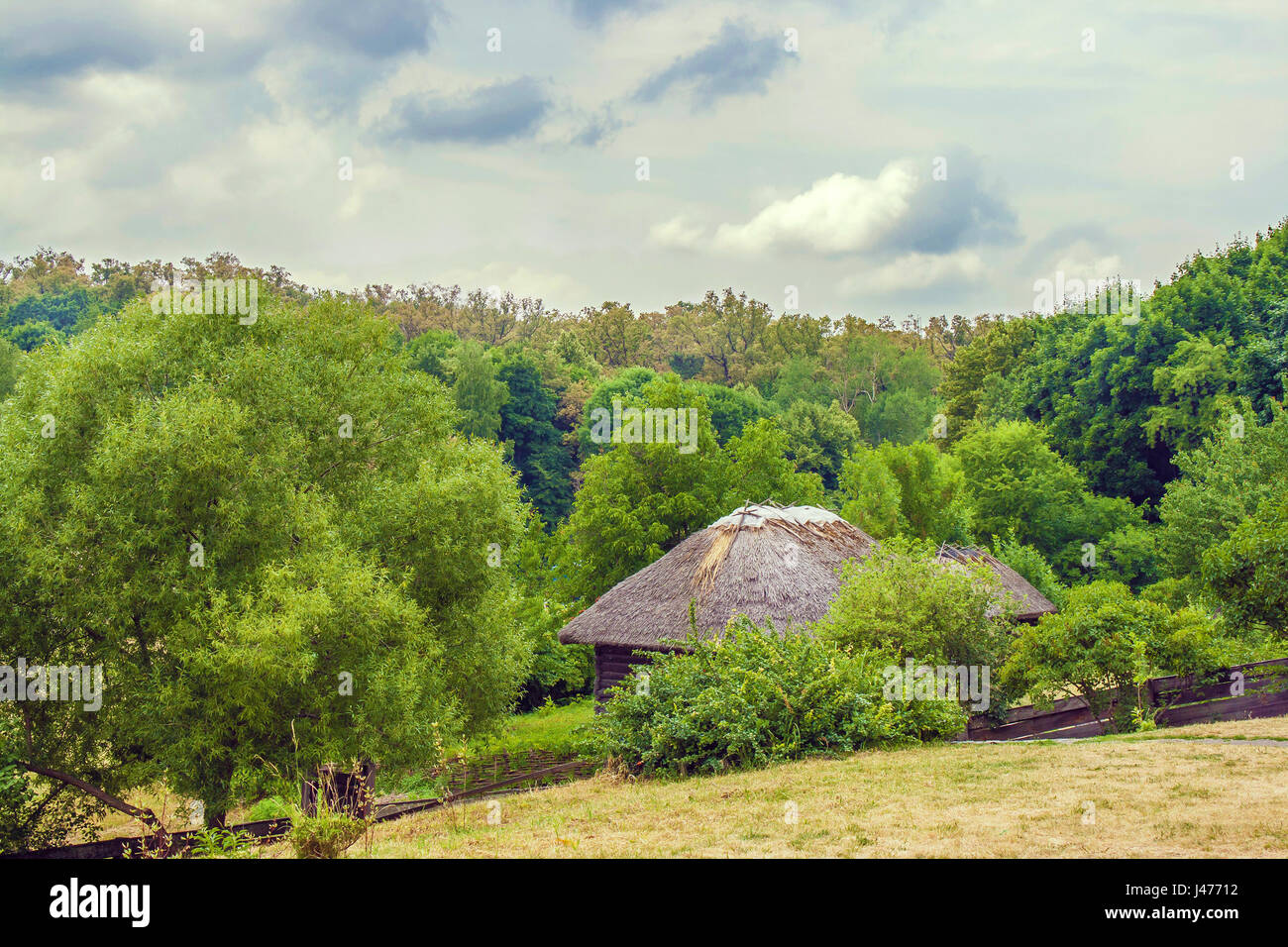 Droit de la chaume cabane ukrainien sur le bord de la forêt Banque D'Images