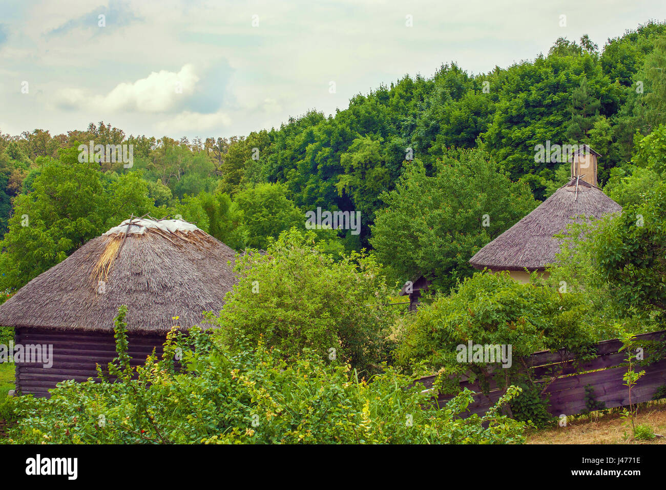 Droit de la chaume cabane ukrainien sur le bord de la forêt Banque D'Images